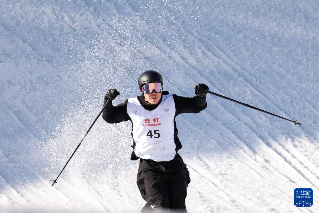 爱体育官网-德国选手在自由式滑雪项目中夺冠,表现优异