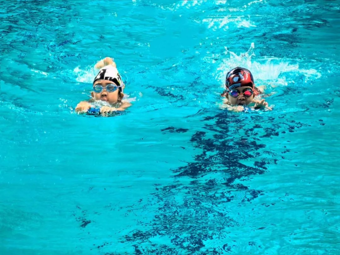 游泳比赛中选手们表现出色实现三连冠 游泳比赛中选手们表现出色实现三连冠