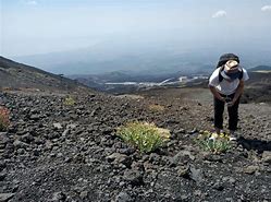 卡塔尼亚遭遇连败,战绩垂危 卡塔尼亚遭遇连败,战绩垂危