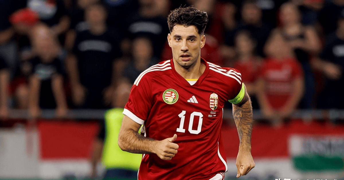 爱体育-匈牙利队艰难晋级,为欧锦赛增添变数