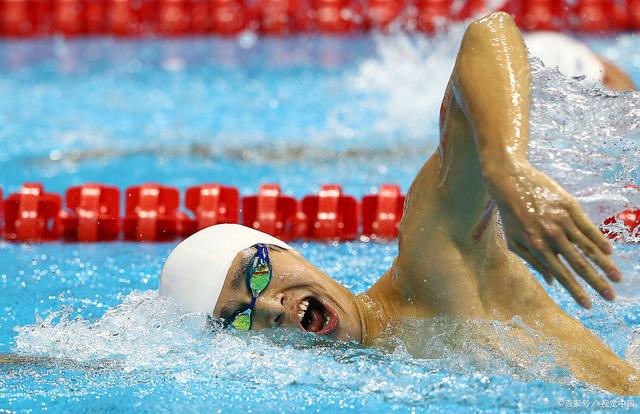爱体育-加拿大选手在游泳项目中实现突破